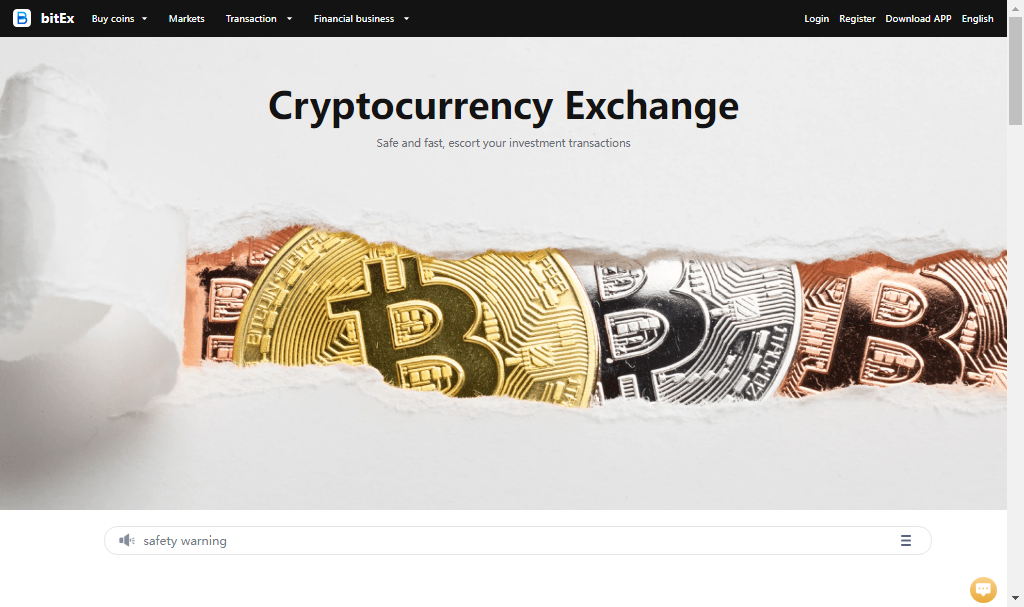 Bitex Review