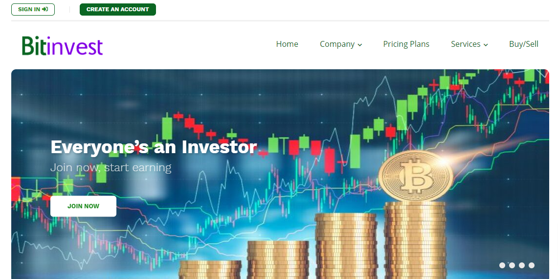 Bit Invest Ltd Review