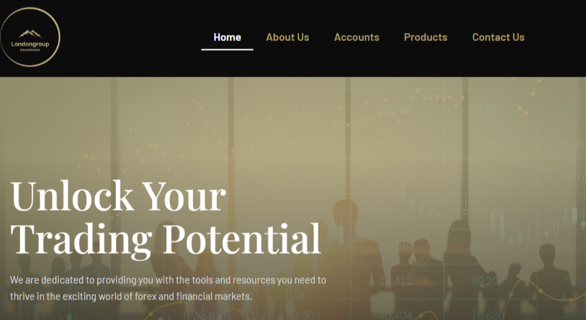 Londongroup Investments Review