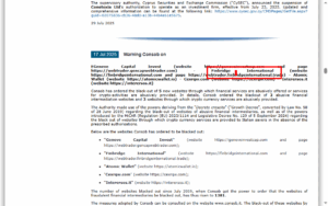 CONSOB Warnings