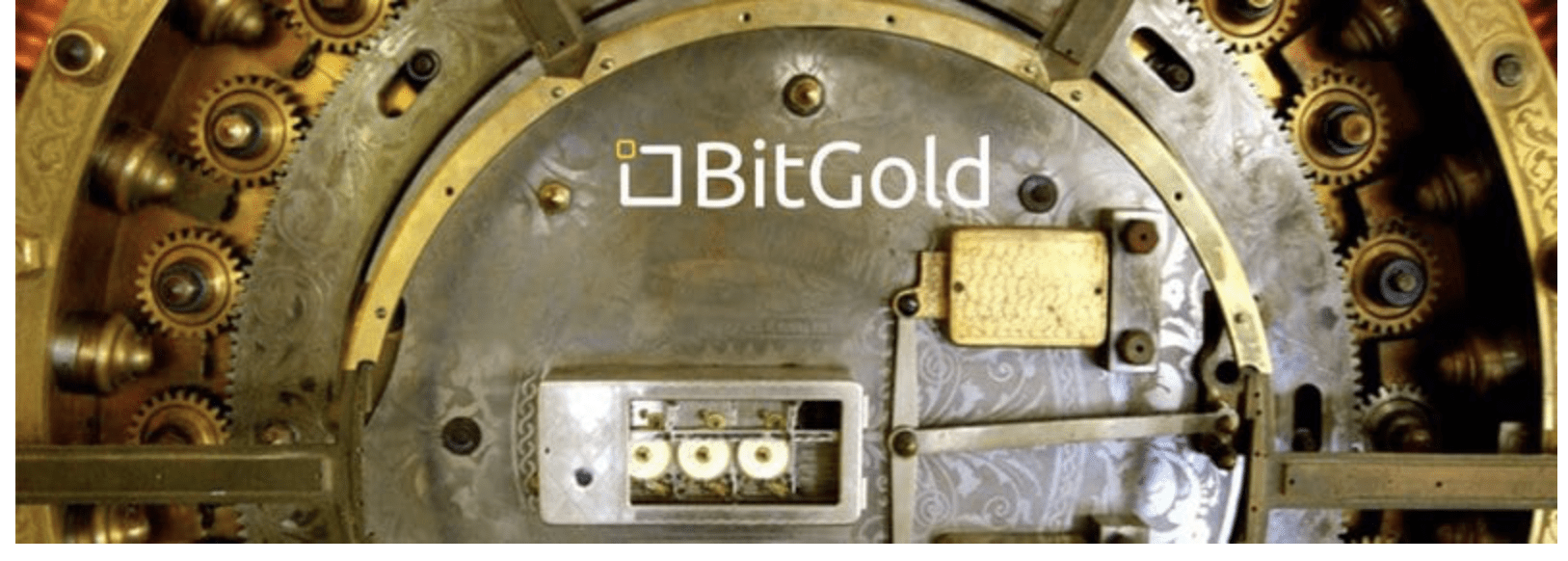 Bitgoldmd review