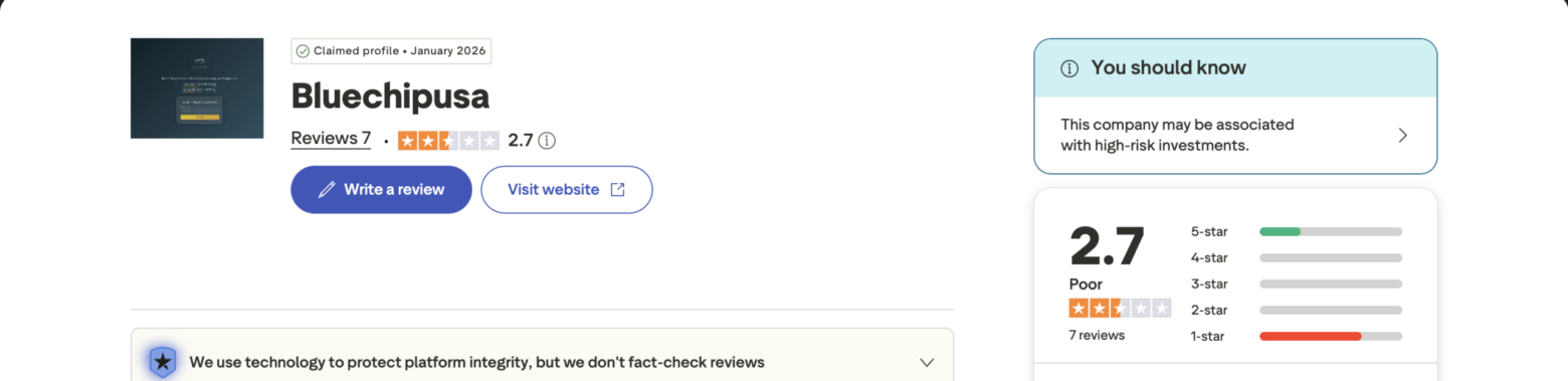 Bluechipusa Review